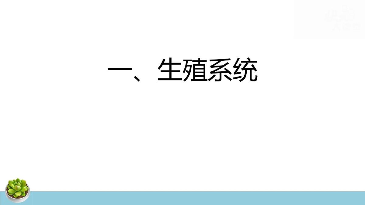 人教版七年级下册生物期末复习课件含期末综合测试第6页