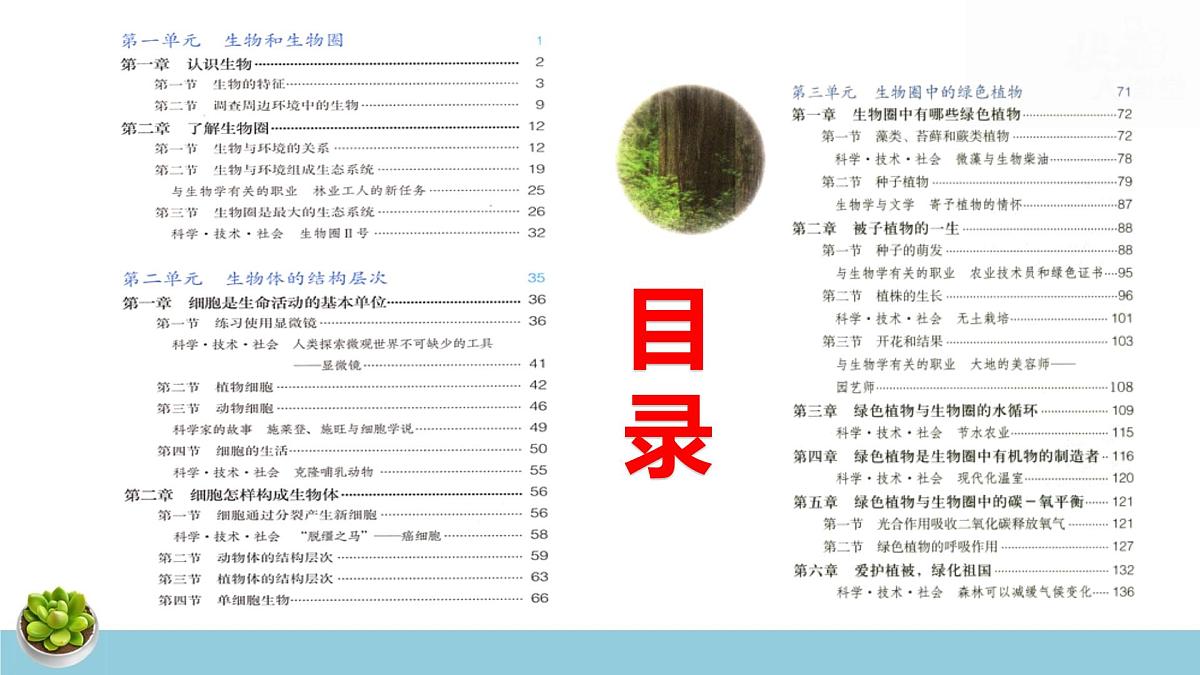 人教版七年级上册生物期末复习课件含期末综合测试第2页