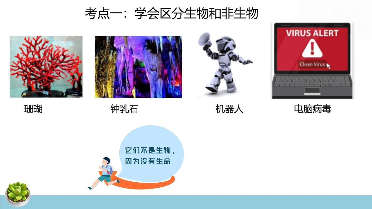 人教版七年级上册生物期末复习课件含期末综合测试第4页