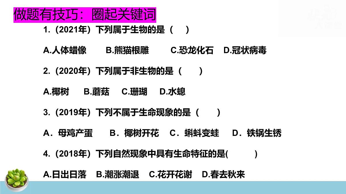 人教版七年级上册生物期末复习课件含期末综合测试第6页