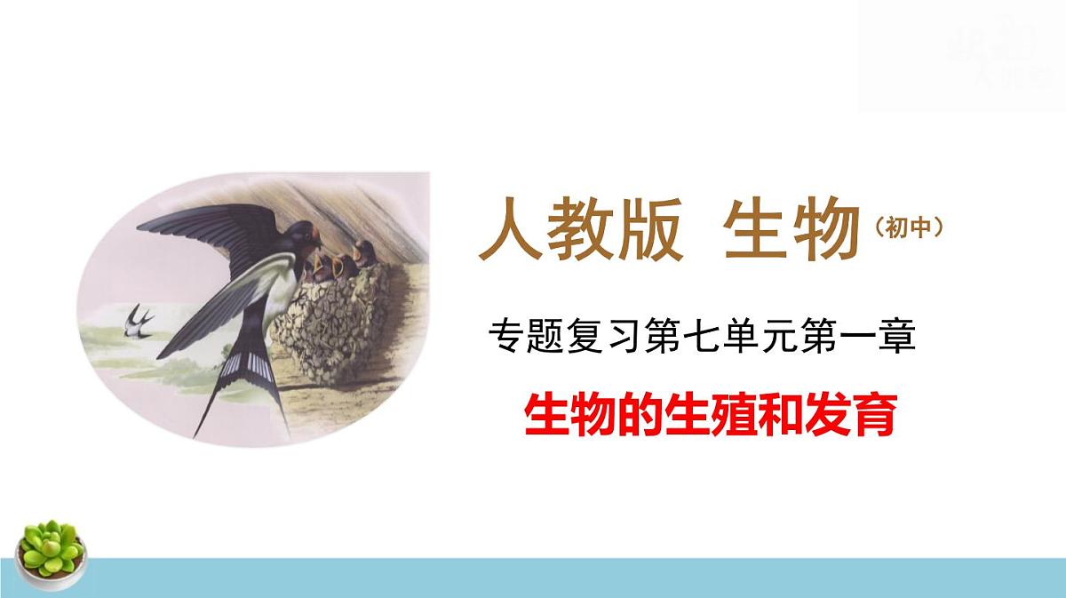 人教版八年级下册生物期末总复习课件第5页