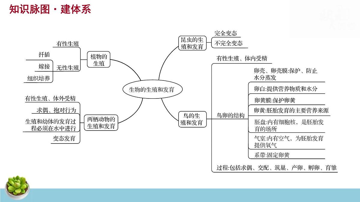 人教版八年级下册生物期末总复习课件第6页
