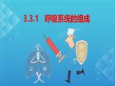 初中生物冀少版（2024）七年級下冊3.3.1 呼吸系統(tǒng)的組成 課件