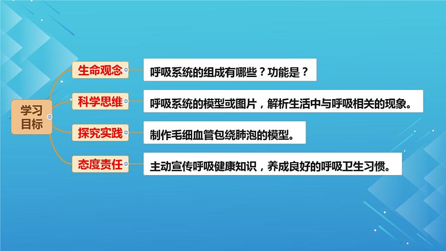 初中生物冀少版（2024）七年级下册3.3.1 呼吸系统的组成 课件第2页