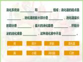 初中生物冀少版（2024）七年級(jí)下冊(cè)3.1.2 人體生命活動(dòng)需要的營(yíng)養(yǎng)物質(zhì) 課件
