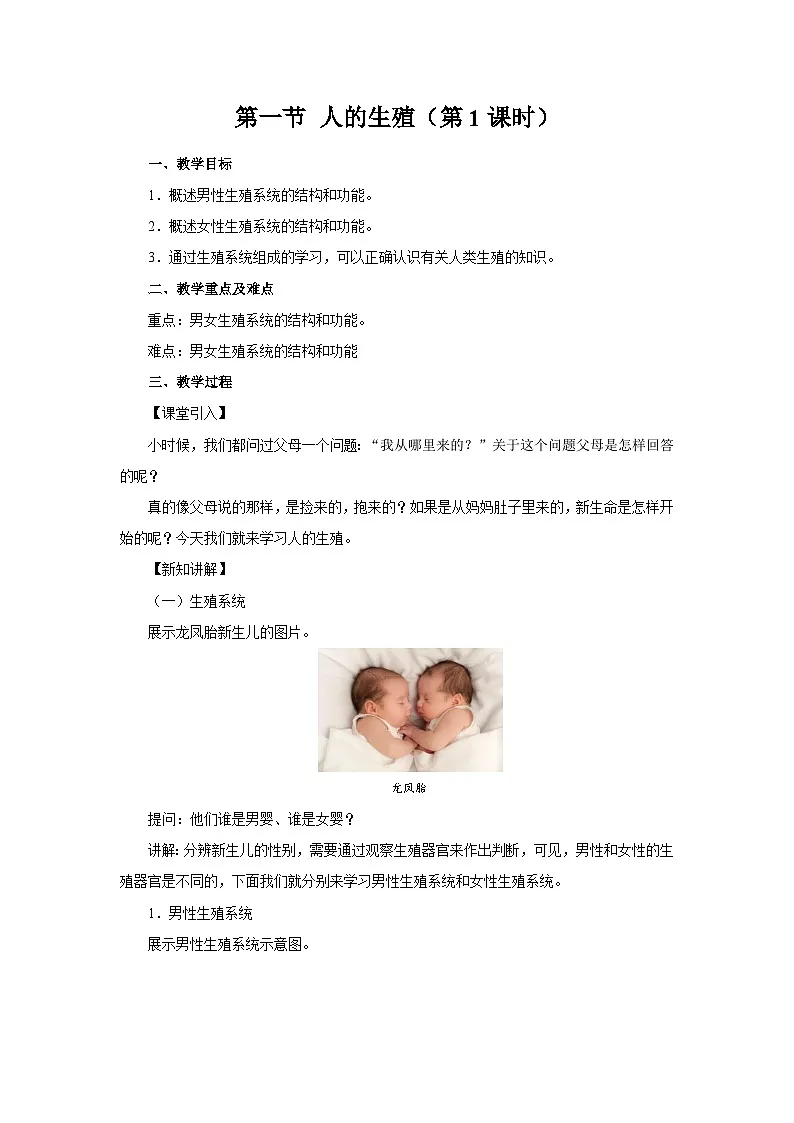 人的生殖 第1课时 教案 生物人教版（2024）七年级下册第1页