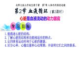 初中生物北師大版（2024）七年級(jí)下冊(cè)4.7.2 血液循環(huán)（第2課時(shí)） 課件