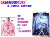 初中生物北師大版（2024）七年級(jí)下冊(cè)4.7.2 血液循環(huán)（第2課時(shí)） 課件