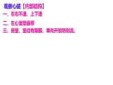 初中生物北師大版（2024）七年級(jí)下冊(cè)4.7.2 血液循環(huán)（第2課時(shí)） 課件