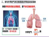 初中生物北師大版（2024）七年級(jí)下冊(cè)4.8.2 人體細(xì)胞獲得氧氣的過(guò)程 課件