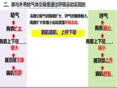 初中生物北師大版（2024）七年級(jí)下冊(cè)4.8.2 人體細(xì)胞獲得氧氣的過(guò)程 課件