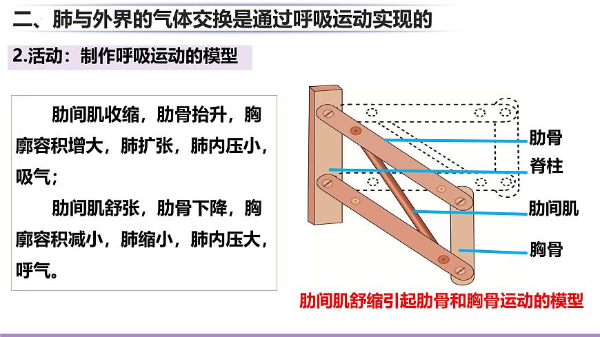 初中生物北师大版（2024）七年级下册4.8.2 人体细胞获得氧气的过程 课件第8页