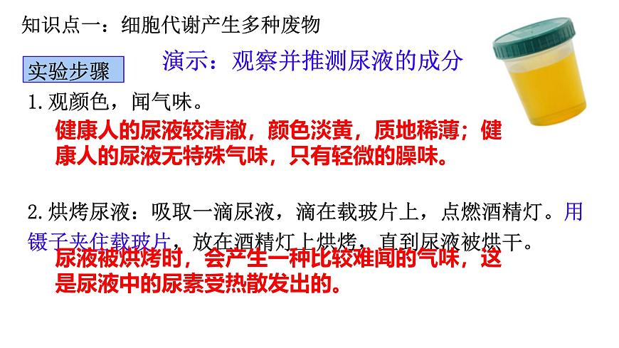 初中生物北师大版（2024）七年级下册4.9.1 人体产生的代谢废物 课件第4页