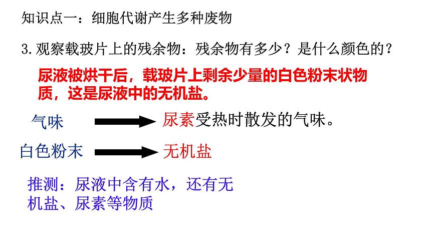 初中生物北师大版（2024）七年级下册4.9.1 人体产生的代谢废物 课件第5页