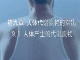 初中生物北師大版（2024）七年級(jí)下冊(cè)4.9.1 人體產(chǎn)生的代謝廢物 課件