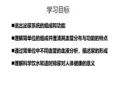 初中生物北師大版（2024）七年級(jí)下冊(cè)4.9.2 尿的形成與排出 課件