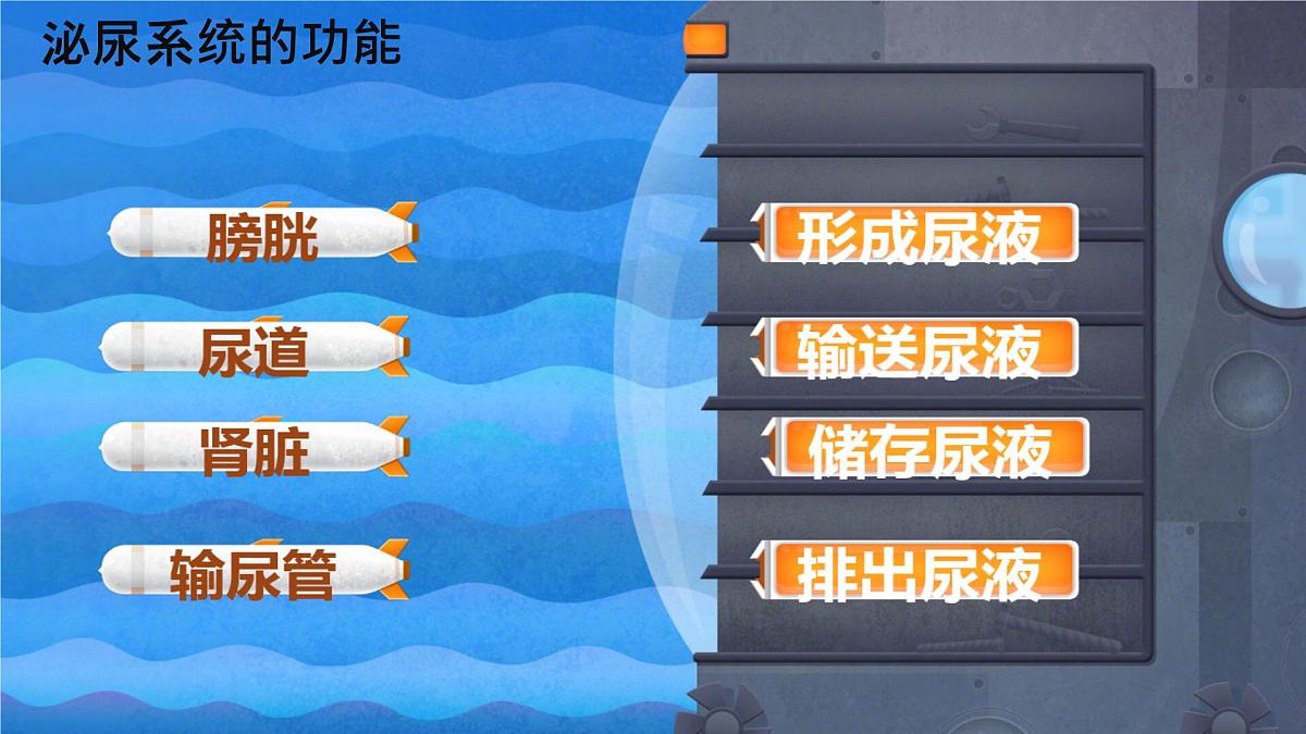 初中生物北师大版（2024）七年级下册4.9.2 尿的形成与排出 课件第5页