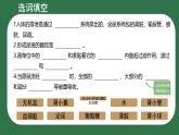 初中生物北師大版（2024）七年級(jí)下冊(cè)4.9.2 尿的形成與排出 課件