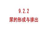初中生物北師大版（2024）七年級(jí)下冊(cè)4.9.2 尿的形成與排出 課件