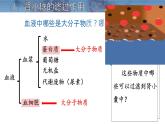 初中生物北師大版（2024）七年級(jí)下冊(cè)4.9.2 尿的形成與排出 課件