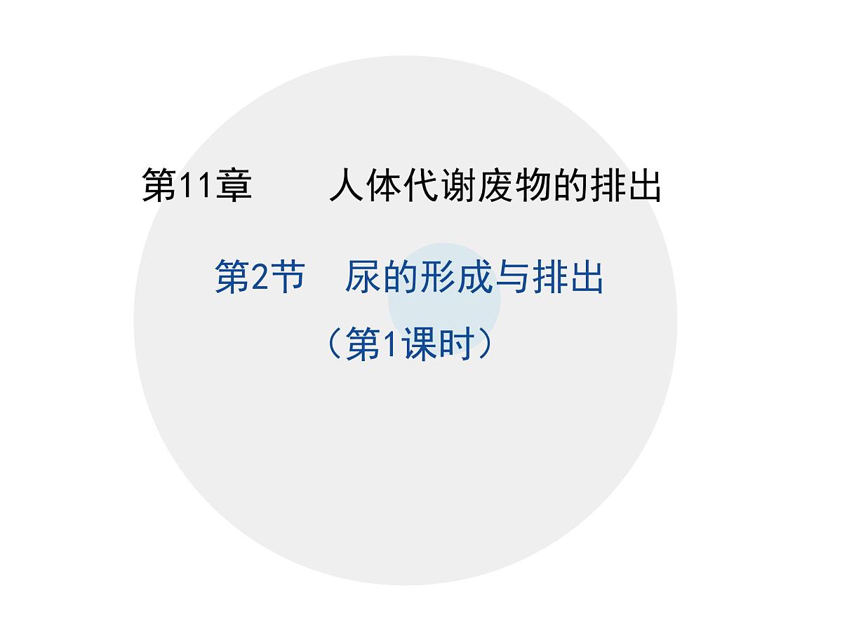 初中生物北师大版（2024）七年级下册4.9.2 尿的形成与排出（第1课时） 课件第1页