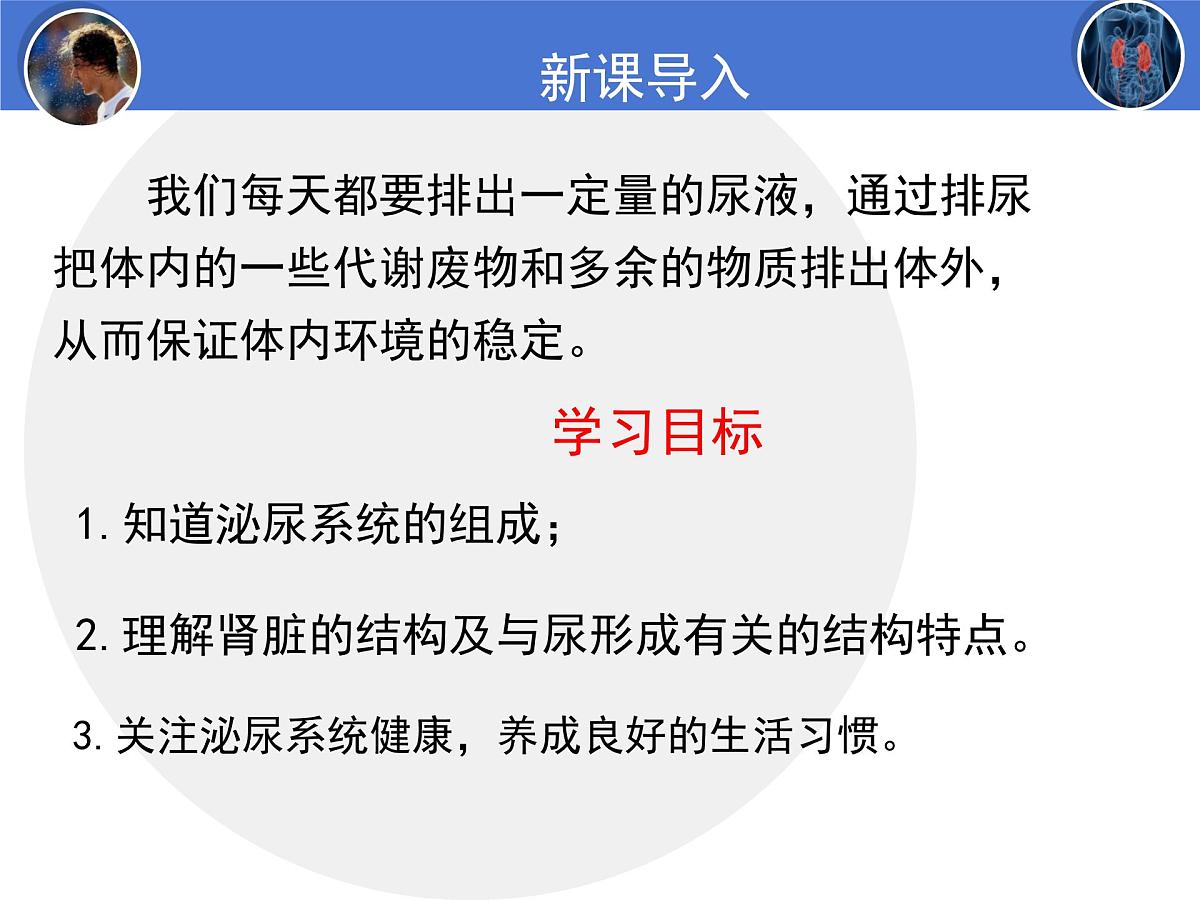 初中生物北师大版（2024）七年级下册4.9.2 尿的形成与排出（第1课时） 课件第2页