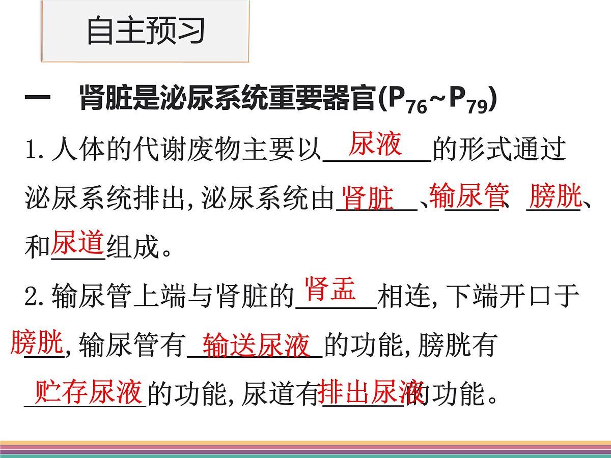 初中生物北师大版（2024）七年级下册4.9.2 尿的形成与排出（第1课时） 课件第3页
