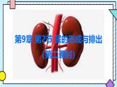 初中生物北師大版（2024）七年級(jí)下冊(cè)4.9.2 尿的形成與排出（第2課時(shí)） 課件