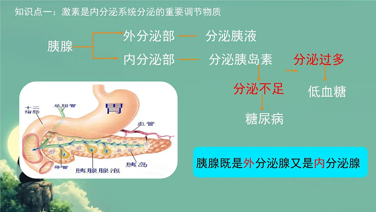 初中生物北师大版（2024）七年级下册4.10.3 激素调节 课件第3页