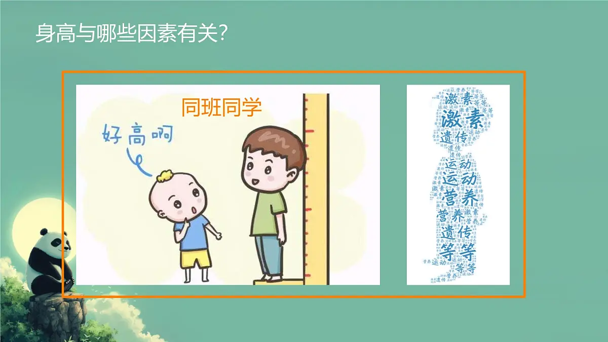 初中生物北师大版（2024）七年级下册4.10.3 激素调节 课件第7页