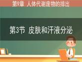 初中生物北師大版（2024）七年級(jí)下冊(cè)4.9.3 皮膚與汗液分泌 課件