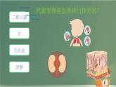 初中生物北師大版（2024）七年級(jí)下冊(cè)4.9.3 皮膚與汗液分泌 課件