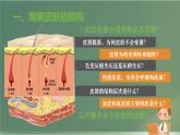 初中生物北師大版（2024）七年級(jí)下冊(cè)4.9.3 皮膚與汗液分泌 課件
