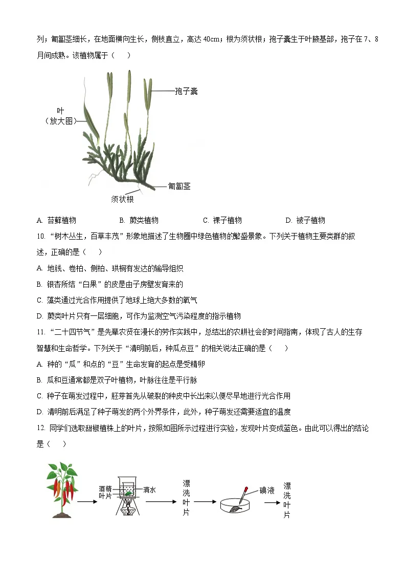 2025年山东省淄博市博山区中考一模生物试题第3页