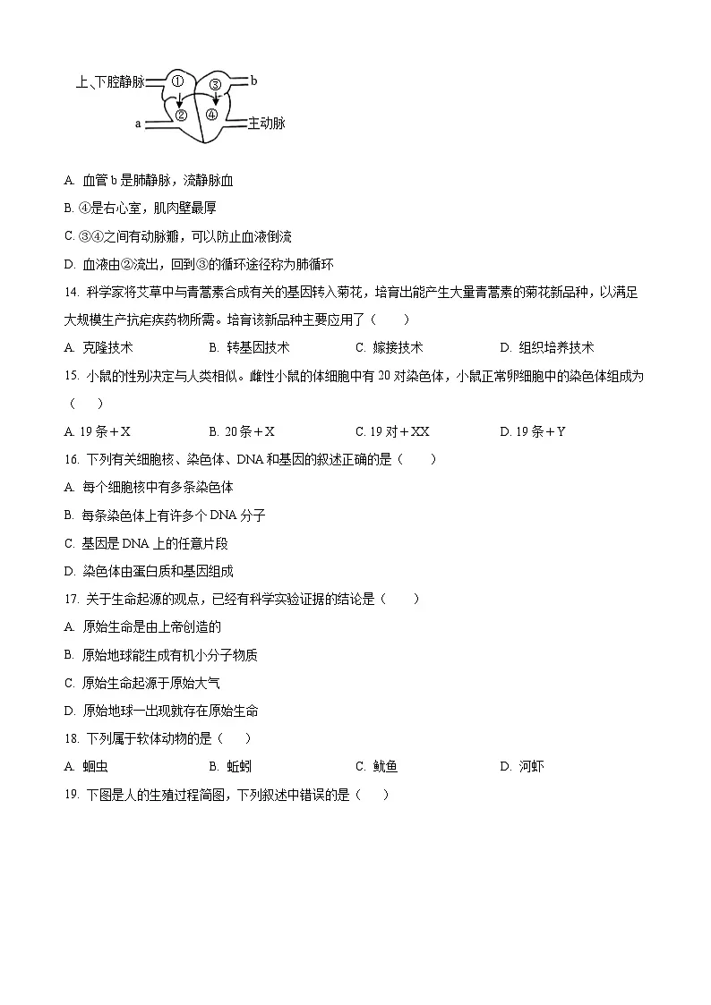 福建省福州市屏东中学2024-2025学年八年级下学期期中生物试题第3页