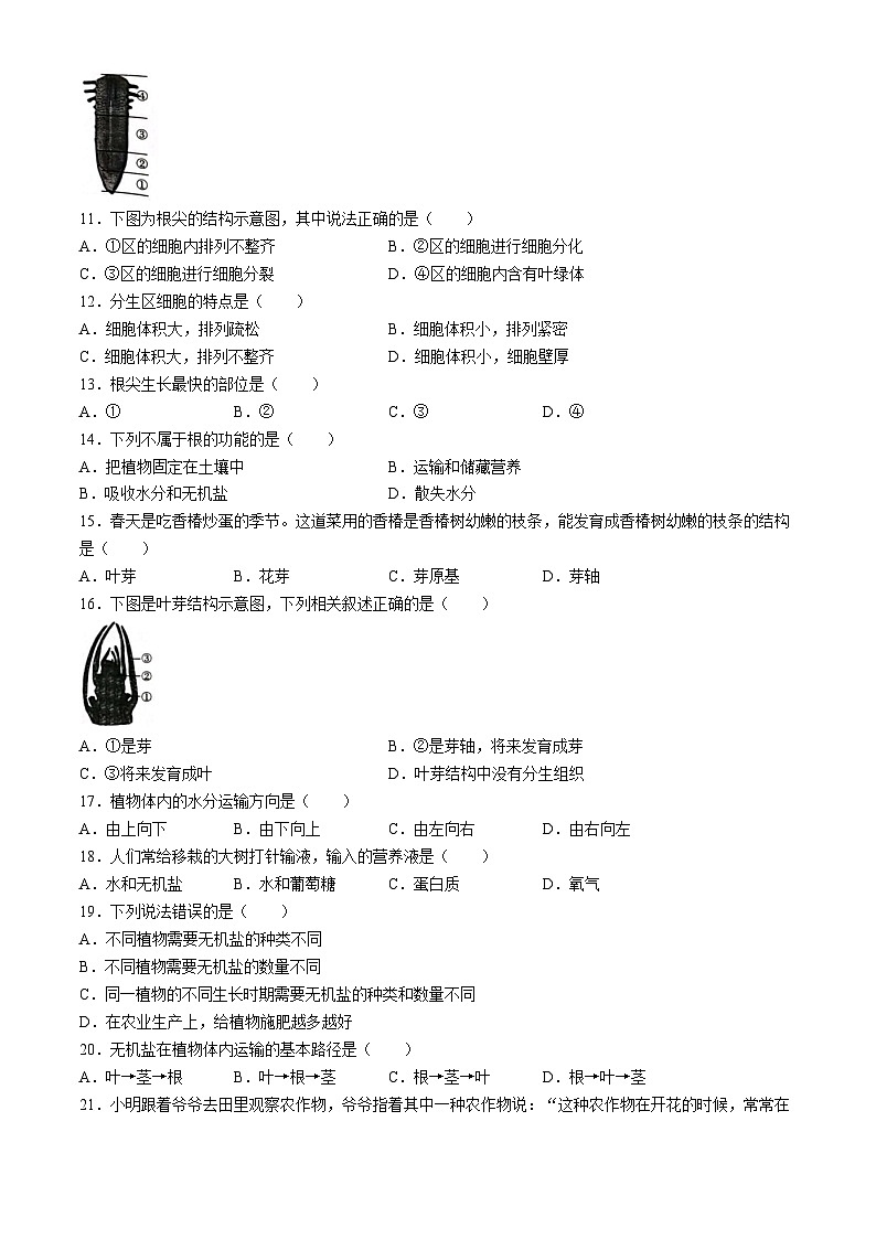 广东省茂名市电白区2024-2025学年七年级下学期3月月考生物试题第2页