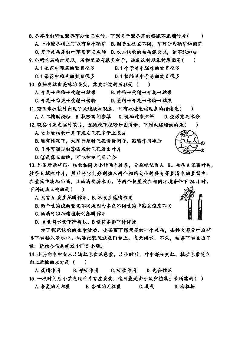 黑龙江省哈尔滨市虹桥初级中学2024-2025学年七年级下4月份月考生物试卷第2页