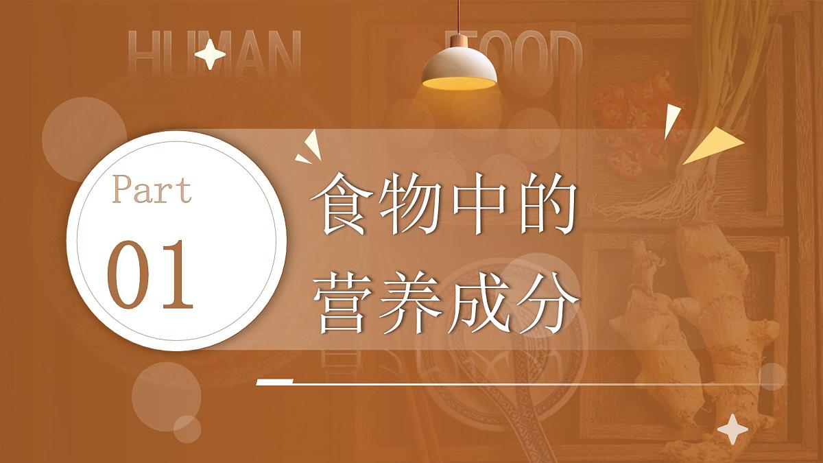 第1节 人类的食物 课件 生物北师大版（2024）七年级下册第6页