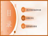 4.6.2 食物的消化和營養(yǎng)物質的吸收 課件 生物北師大版（2024）七年級下冊