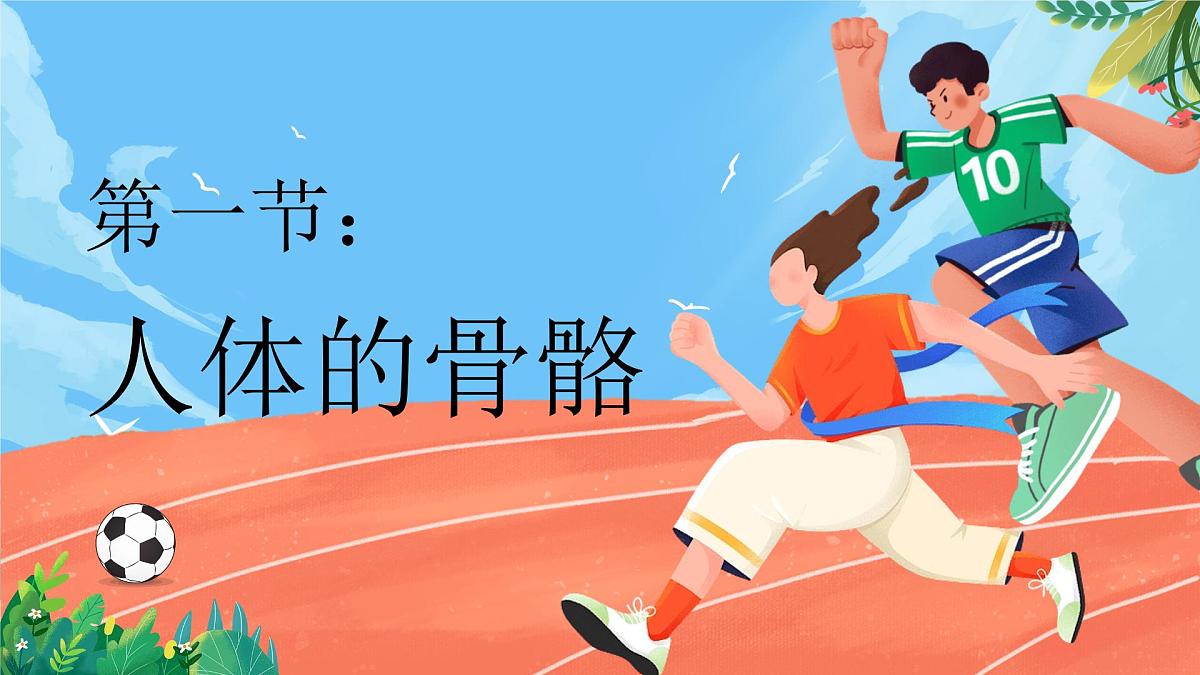 第11章 第1节《人体的骨骼》课件 生物北师大版（2024）七年级下册第1页