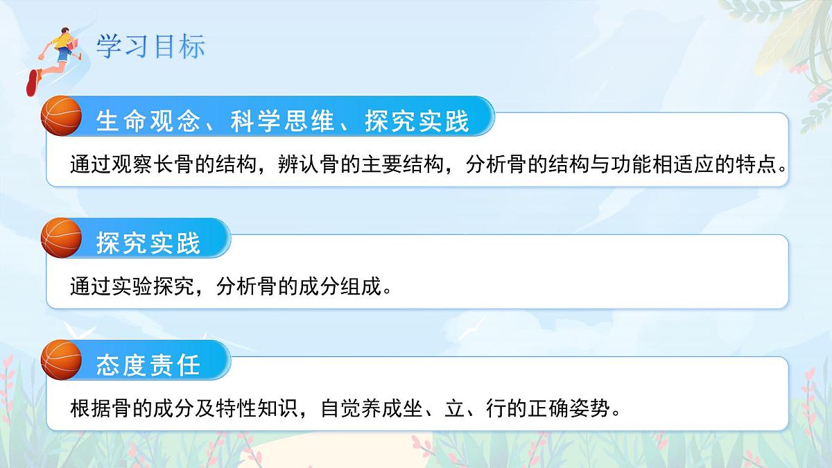 第11章 第1节《人体的骨骼》课件 生物北师大版（2024）七年级下册第3页