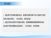 第1節(jié) 種子的萌發(fā) 第1課時 課件  生物蘇教版（2024）七年級下冊