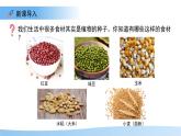 第1節(jié) 種子的萌發(fā) 第1課時 課件  生物蘇教版（2024）七年級下冊