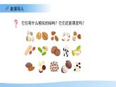 第1節(jié) 種子的萌發(fā) 第1課時 課件  生物蘇教版（2024）七年級下冊