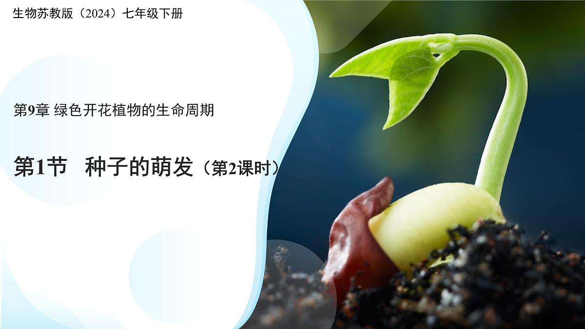 第1节 种子的萌发 第2课时 课件  生物苏教版（2024）七年级下册第1页