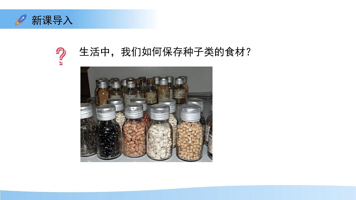 第1节 种子的萌发 第2课时 课件  生物苏教版（2024）七年级下册第3页