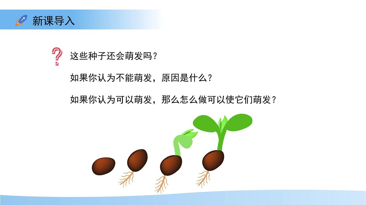 第1节 种子的萌发 第2课时 课件  生物苏教版（2024）七年级下册第4页