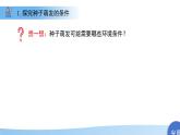 第1節(jié) 種子的萌發(fā) 第2課時 課件  生物蘇教版（2024）七年級下冊