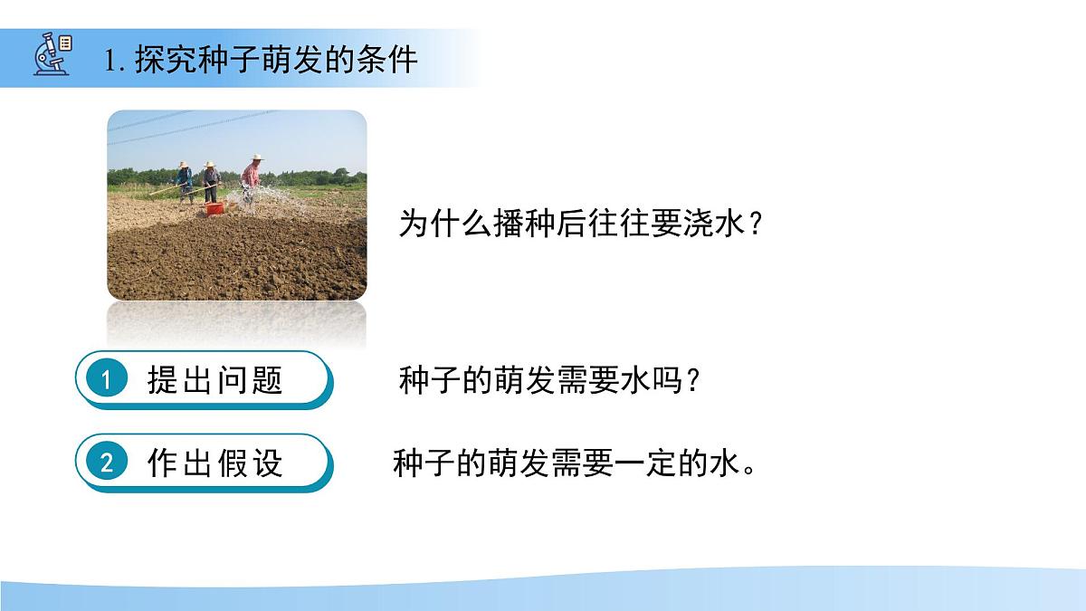 第1节 种子的萌发 第2课时 课件  生物苏教版（2024）七年级下册第6页