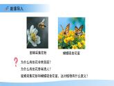第3節(jié) 植物的繁殖 第1課時 課件  生物蘇教版（2024）七年級下冊